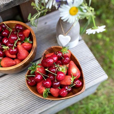 Glamping Health Resort Kamnik Eksteriør bilde