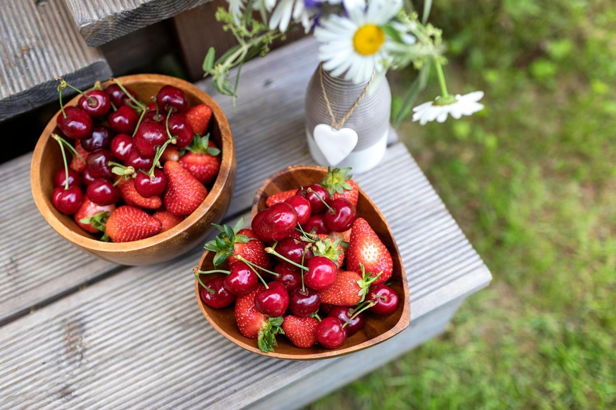 Glamping Health Resort Kamnik Eksteriør bilde